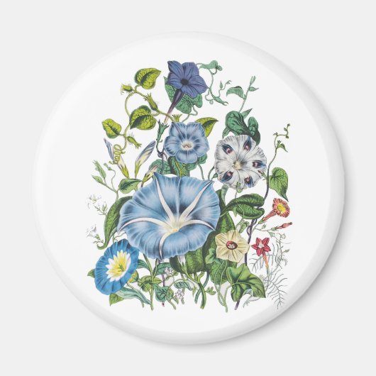 Karneval von Blume Magnet (Vorne)