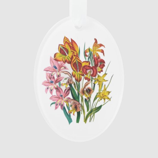 Karneval von Blume Ornament (Vorderseite)