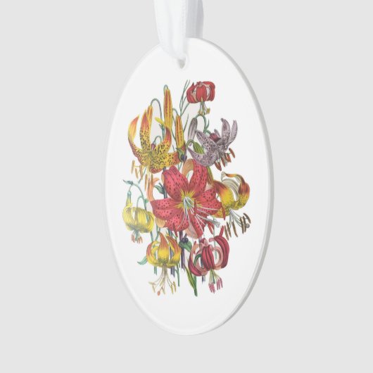 Karneval von Blume Ornament (Vorderseite)