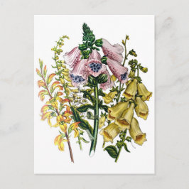 Karneval von Blume Postkarte