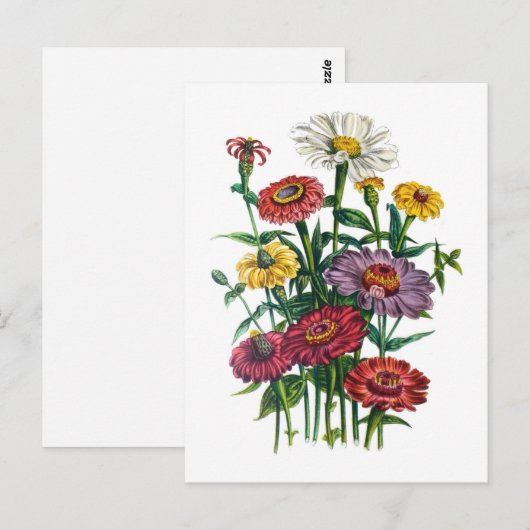 Karneval von Blume Postkarte (Vorne/Hinten)