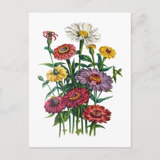 Karneval von Blume Postkarte (Vorderseite)