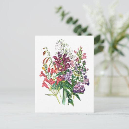 Karneval von Blume Postkarte (Stehend Vorderseite)