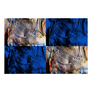 Karnevalskiste Poster