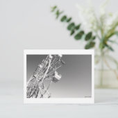 Karnevalsreise 2 Postkarte (Stehend Vorderseite)