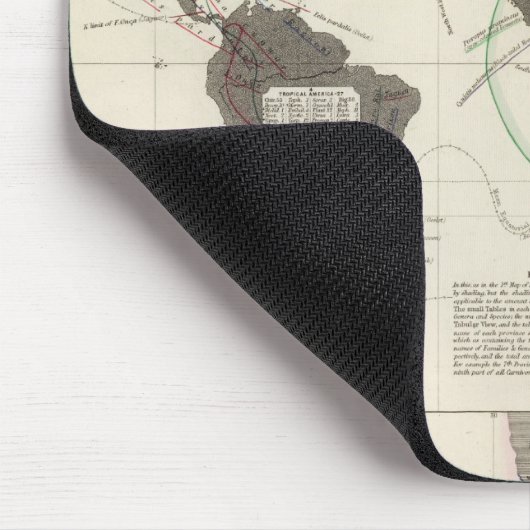 Karnivora Mousepad (Ecke)