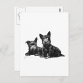 Karo UND RECHECK FÜR SCHOTTENHUNDE Postkarte (Vorne/Hinten)