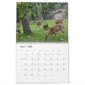 Karolina-Wildtierkalender 2011 Kalender (Mär 2026)