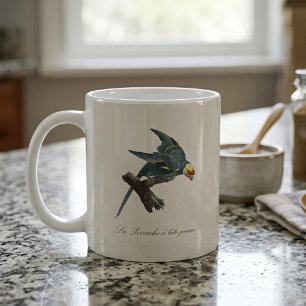 Karolinasittich, Conuropsis carolinensis Kaffeetasse