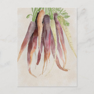 Karotten, 5x7 Postkarte