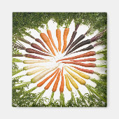 Karotten Gemüse farbenfrohe Regenbogen Muster Gart Magnet (Vorne)