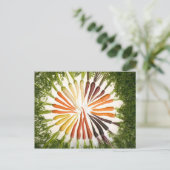 Karotten in vielen Farben Postkarte (Stehend Vorderseite)