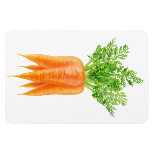 Karotten Magnet (Horizontal)