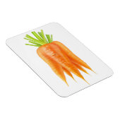 Karotten Magnet (Rechte Seite)