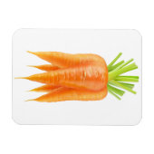 Karotten Magnet (Horizontal)