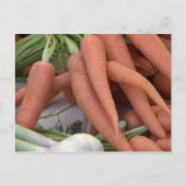 Karotten Postkarte (Vorderseite)