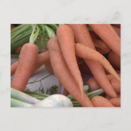 Karotten Postkarte