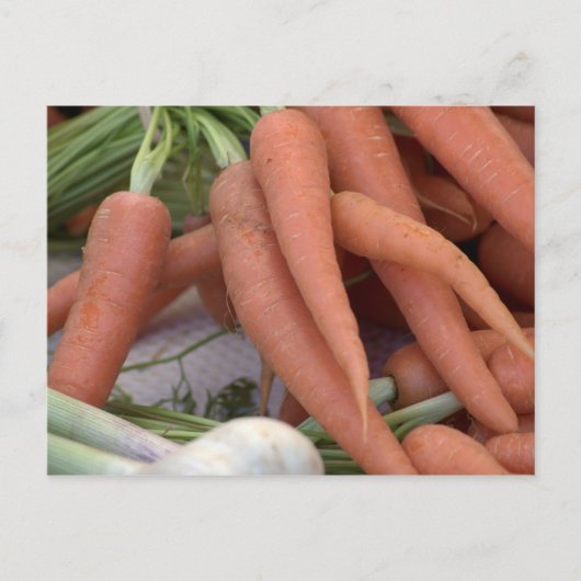 Karotten Postkarte (Vorderseite)
