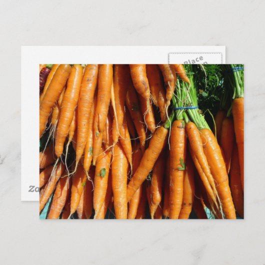 Karotten Postkarte (Vorne/Hinten)
