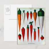 Karotten Postkarte (Vorne/Hinten)