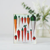 Karotten Postkarte (Stehend Vorderseite)