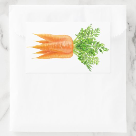 Karotten Rechteckiger Aufkleber (Tasche)