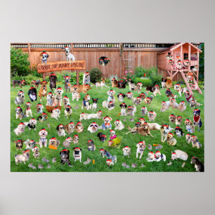 Karotten-Spitzenhäschen-Kindertagesstätte 2015 Poster