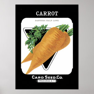 Karotten-Vintage-Samenpaket Poster