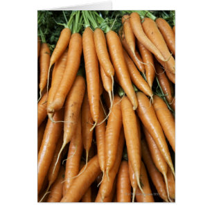 Karottenbänder, Vollrahmen