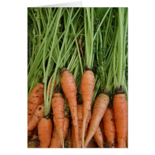 Karottenkarte (Vorne)