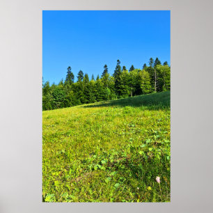 Karpaten-Grünwiese – Rumänien Bergdruck Poster