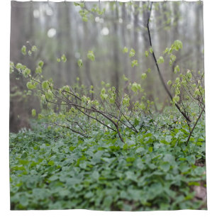 Karpaten-Waldboden Rumänien Naturfotografie Duschvorhang