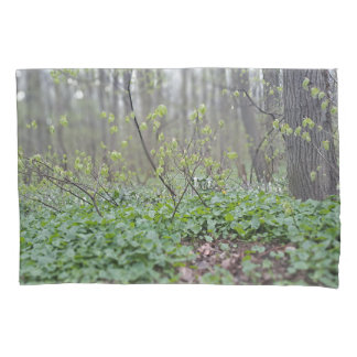 Karpaten-Waldgrund Rumänien Naturfotografie Kissenbezug