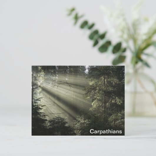 Karpatenwald Postkarte (Stehend Vorderseite)