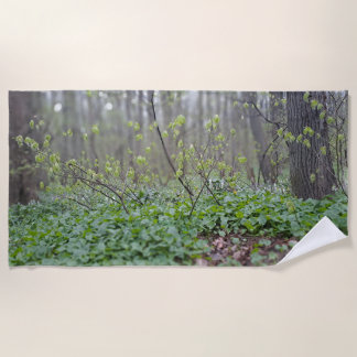 Karpatenwaldboden Rumänien Naturfotografie Strandtuch