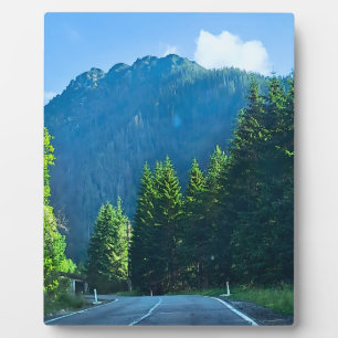 Karpatenwaldstraße – Rumänien Bergdruck Fotoplatte