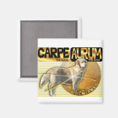 KARPE-AURUMLATIN-GRÖSSE DES GOLDGOLDENRETRIEVS MAGNET (Vorderseite/Rückseite)