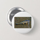 Karpfen Button (Vorne & Hinten)