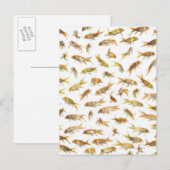 Karpfen (Cyprinus carpio) 2 Postkarte (Vorne/Hinten)