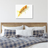 Karpfen (Cyprinus carpio) Leinwanddruck (Insitu (Schlafzimmer))
