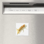 Karpfen (Cyprinus carpio) Magnet (In Situ (Geschirrspüler))