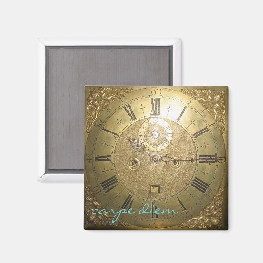 Karpfen II Magnet (Vorderseite/Rückseite)