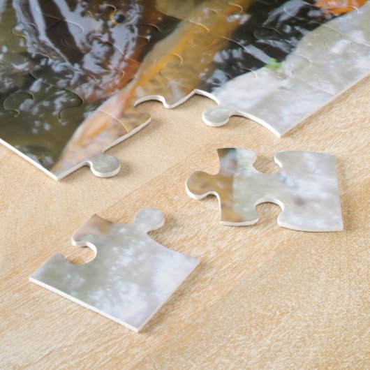 Karpfen in Fischteich, Hanoi Puzzle (Seite)