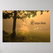 Karpfen-Plakat Poster (Vorne)