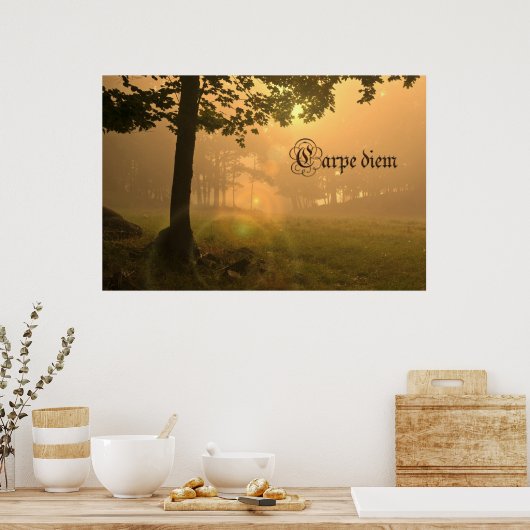 Karpfen-Plakat Poster (Küche)