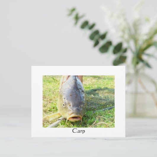 Karpfen - Ponty Postkarte (Stehend Vorderseite)