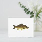 Karpfen Postkarte (Stehend Vorderseite)