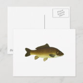 Karpfen Postkarte (Vorne/Hinten)