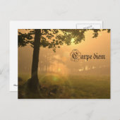 Karpfen-Postkarte Postkarte (Vorne/Hinten)