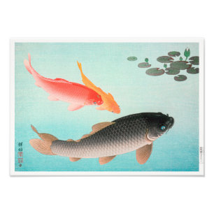 Karpfen und Goldfische Ohara Koson Fotodruck